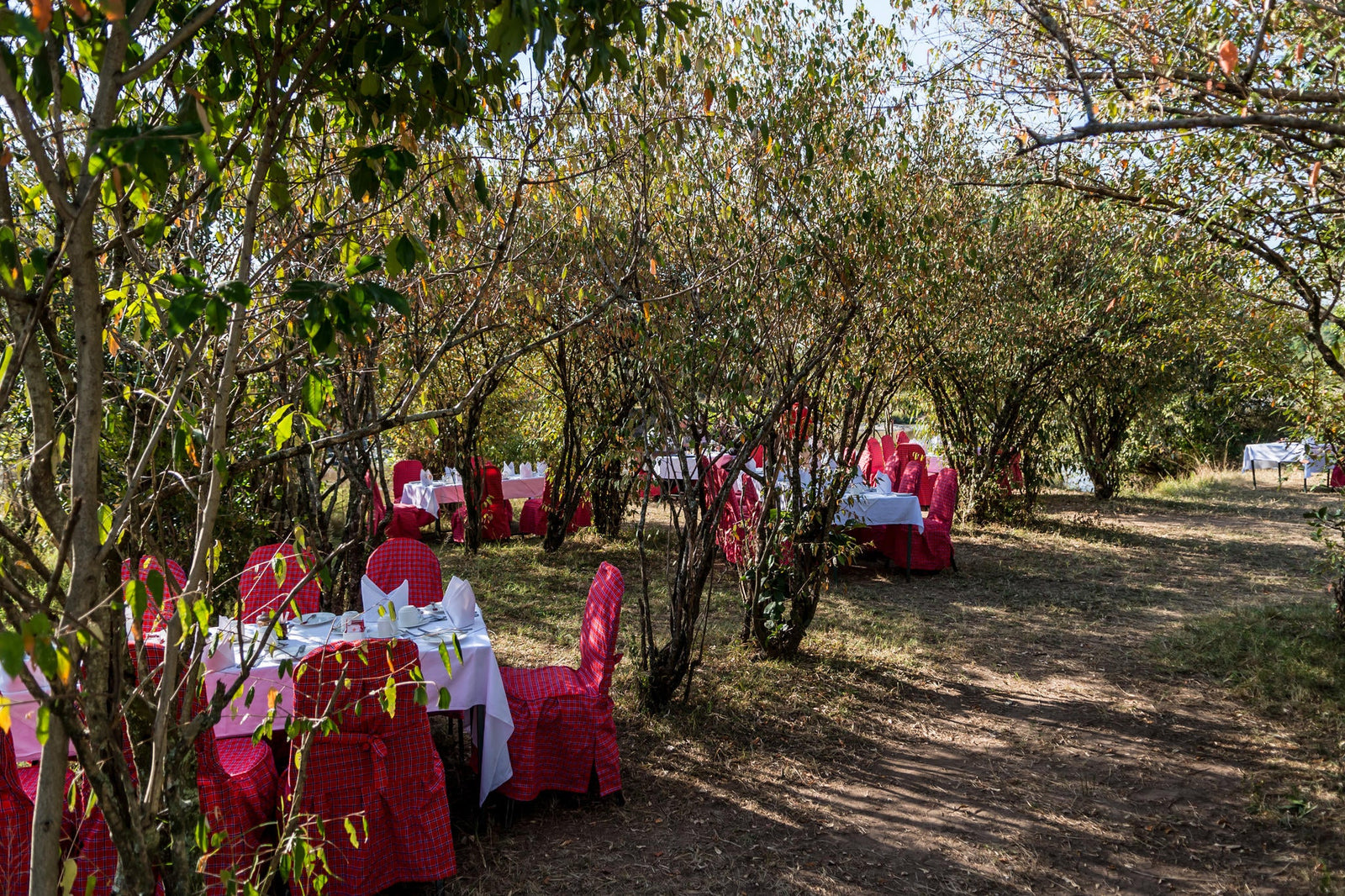 Bush Dining