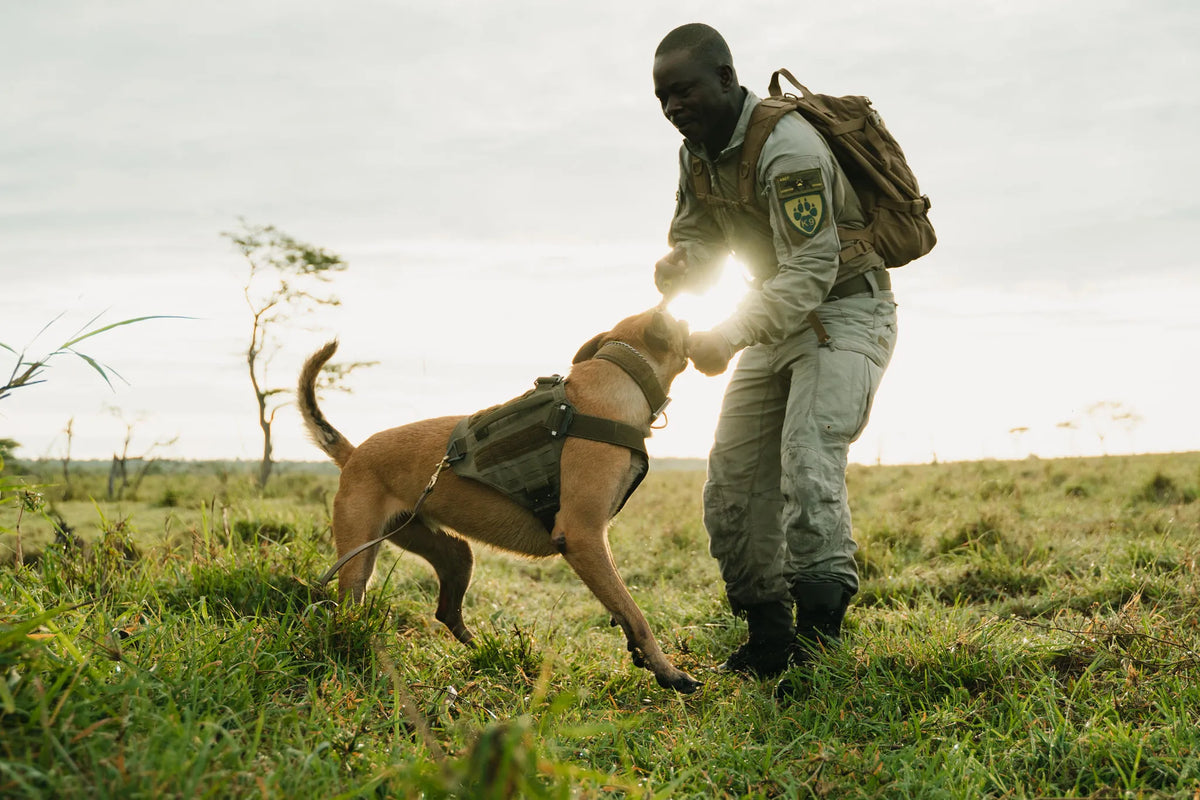 Anti-poaching observation post