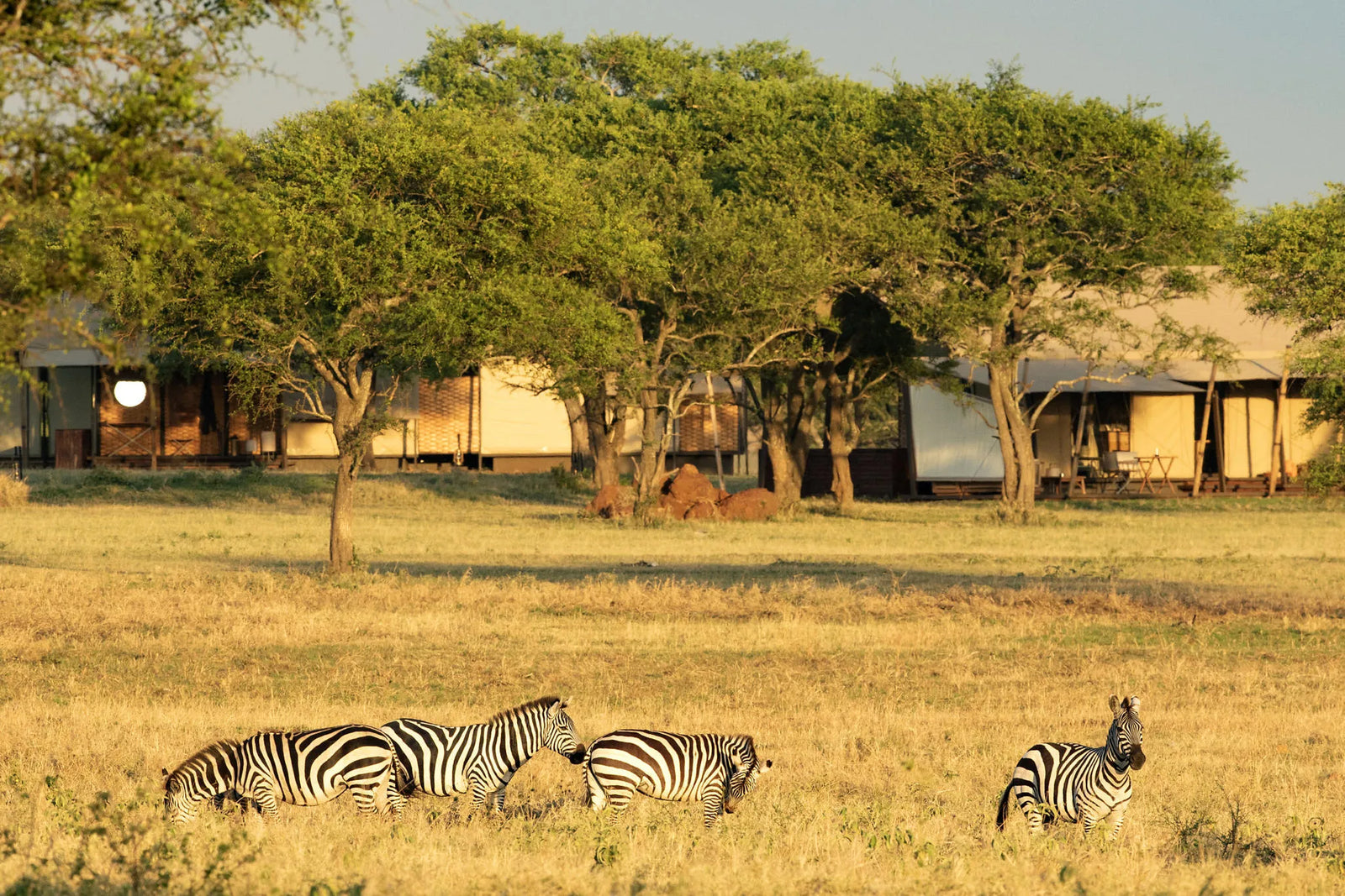 Singita Sabora Tented Camp