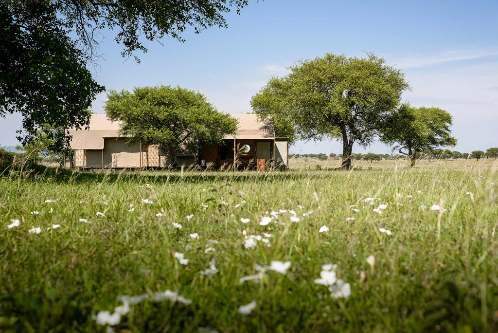Singita Sabora Tented Camp - Suite at Singita Sabora Tented Camp, Singita Serengeti Grumeti, Tanzania.