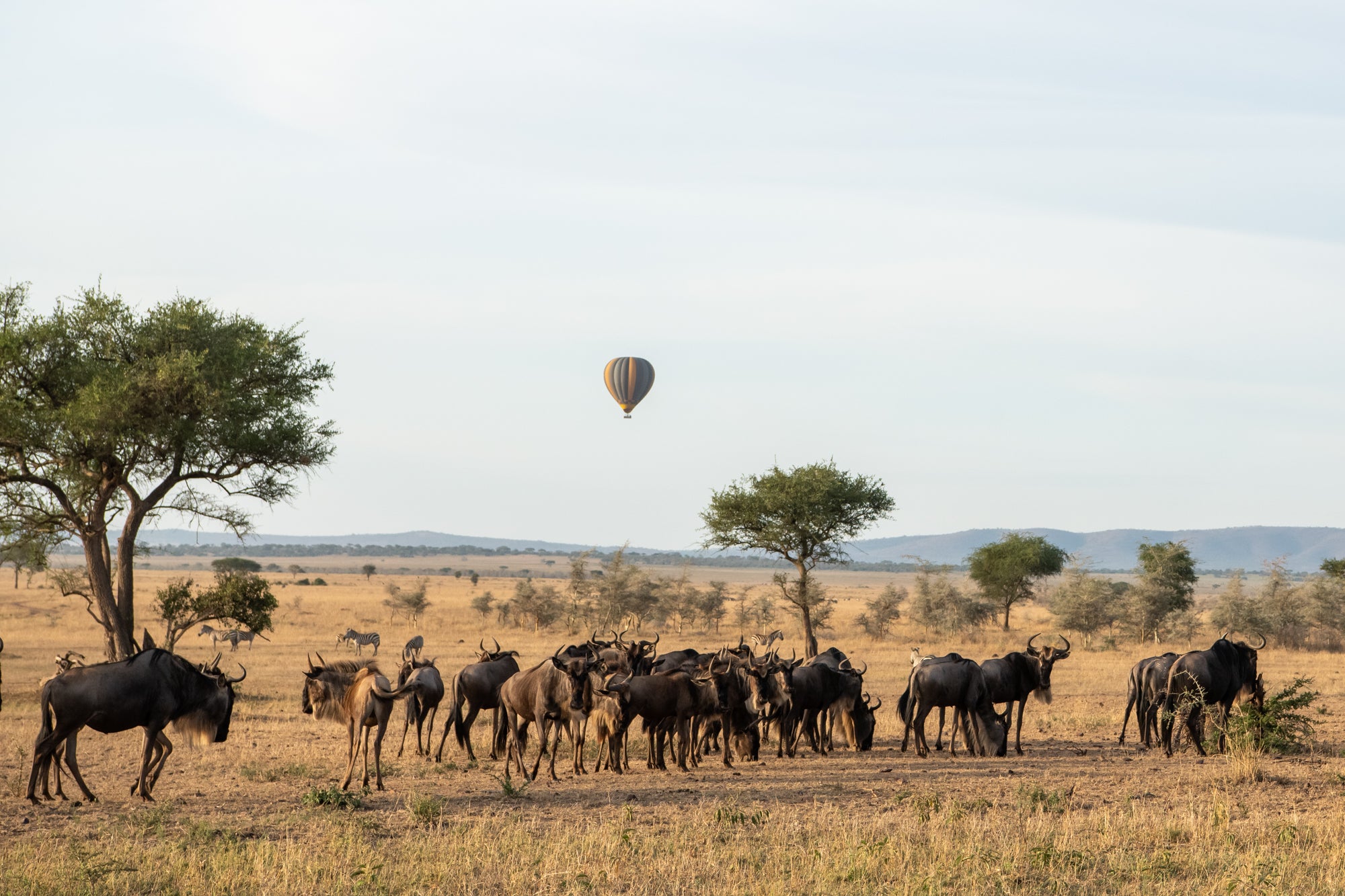 Singita Grumeti Balloon Safari