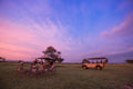 Game drive