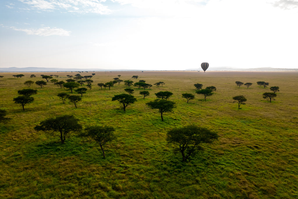 Singita Balloon Safari