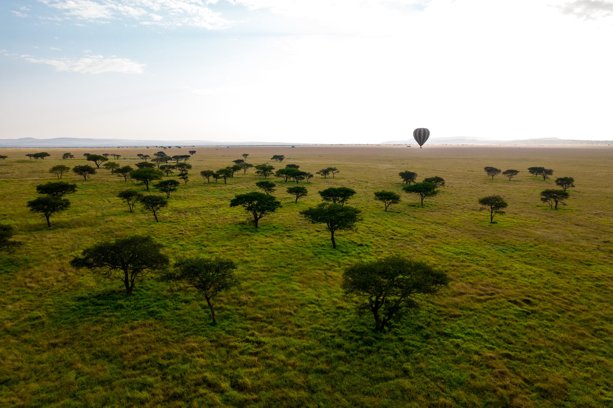 Singita Balloon Safari