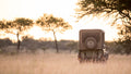 Game Drives