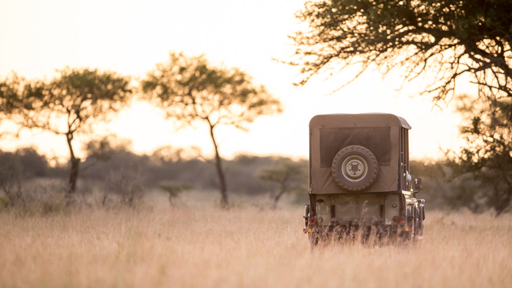 Game Drives