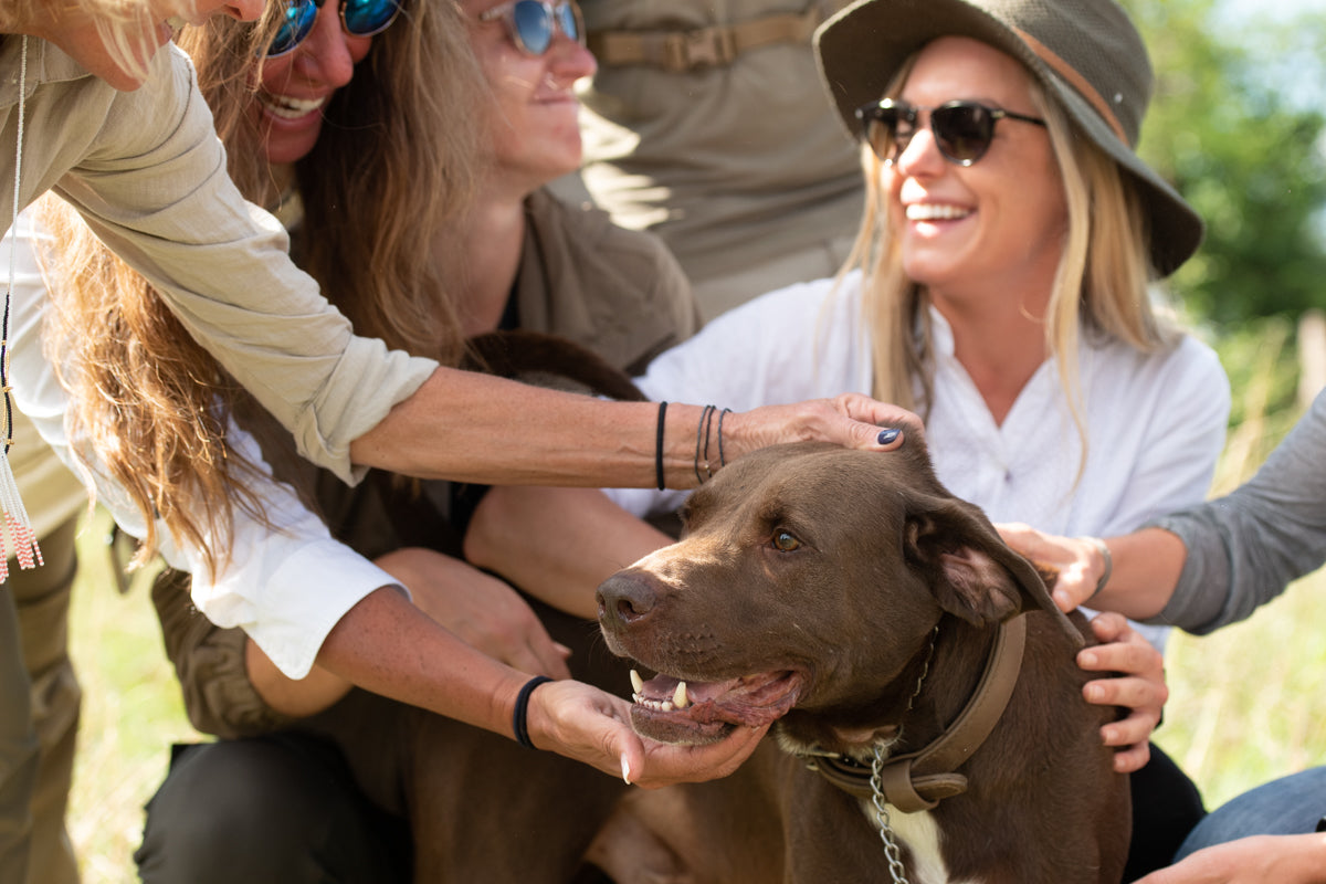 Anti-poaching Observation Post Visit