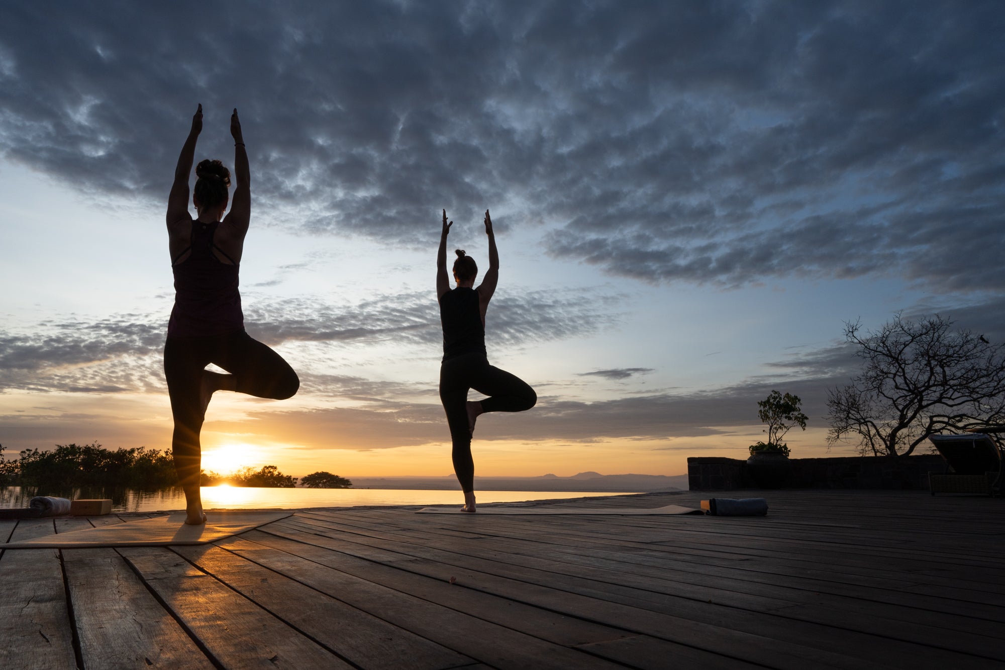 Wellness