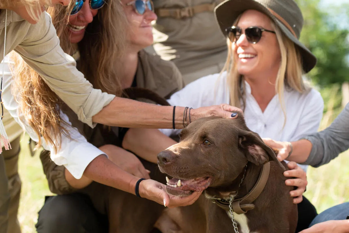 Anti-poaching Observation Post Visit