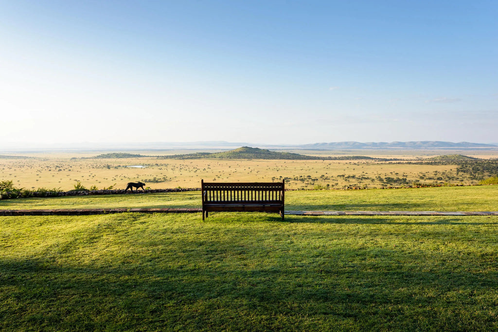 Singita Sasakwa Lodge Serengeti View at Singita Sasakwa Lodge, Singita Serengeti Grumeti, Tanzania.