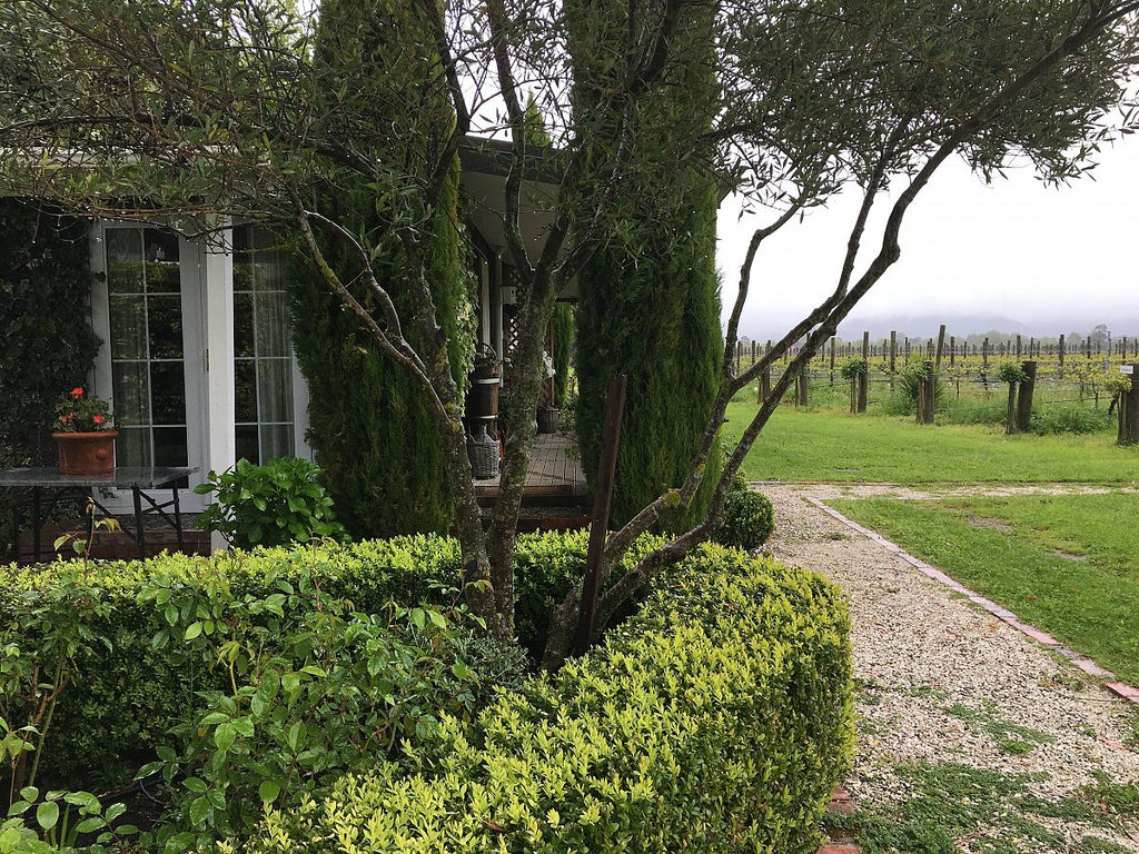 Herzog Vineyard Cottage