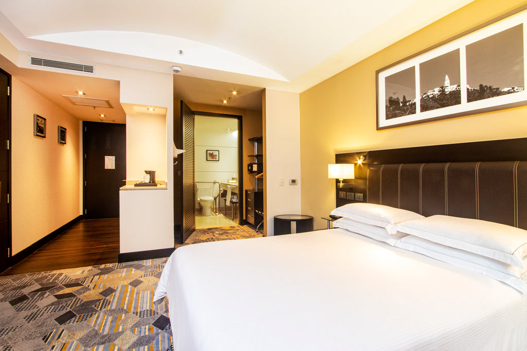 1 QUEEN BED ACCESSIBLE ROOM