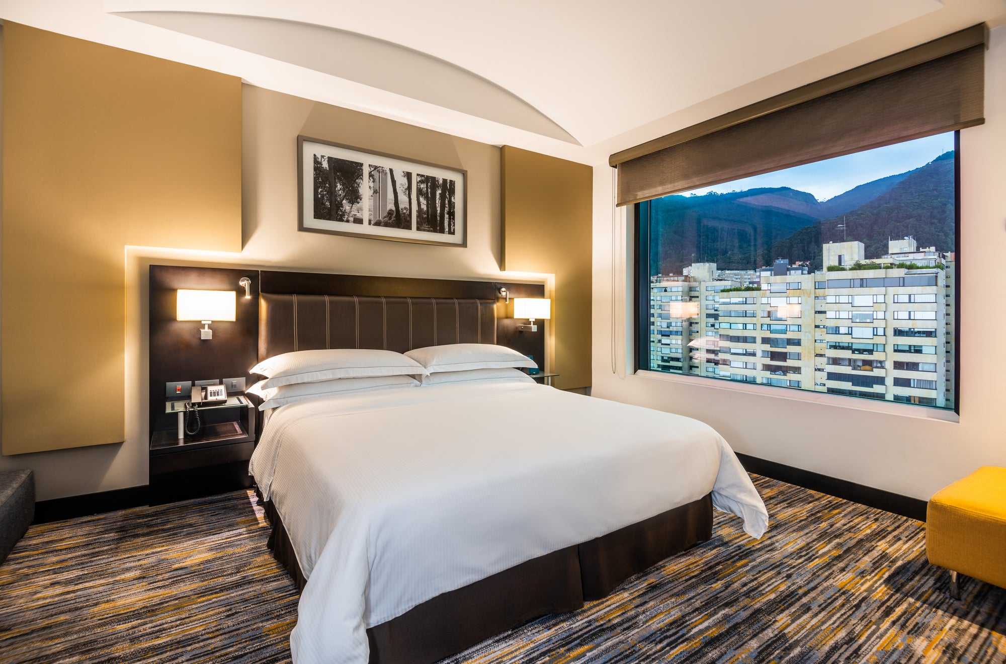1 KING 1BDRM PRESIDENTIAL SUITE