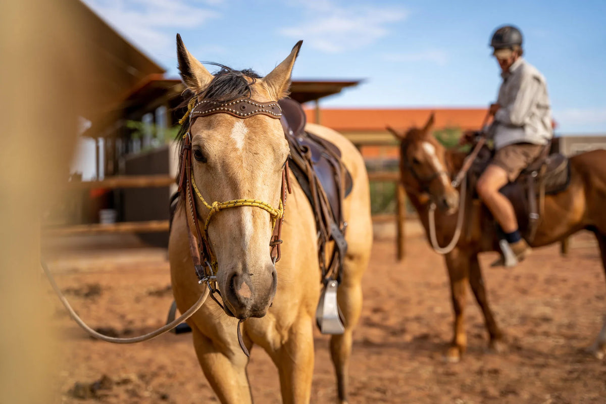 Horse Riding at Wolwedans Desert Lodge, NamibRand Nature Reserve, Namibia.