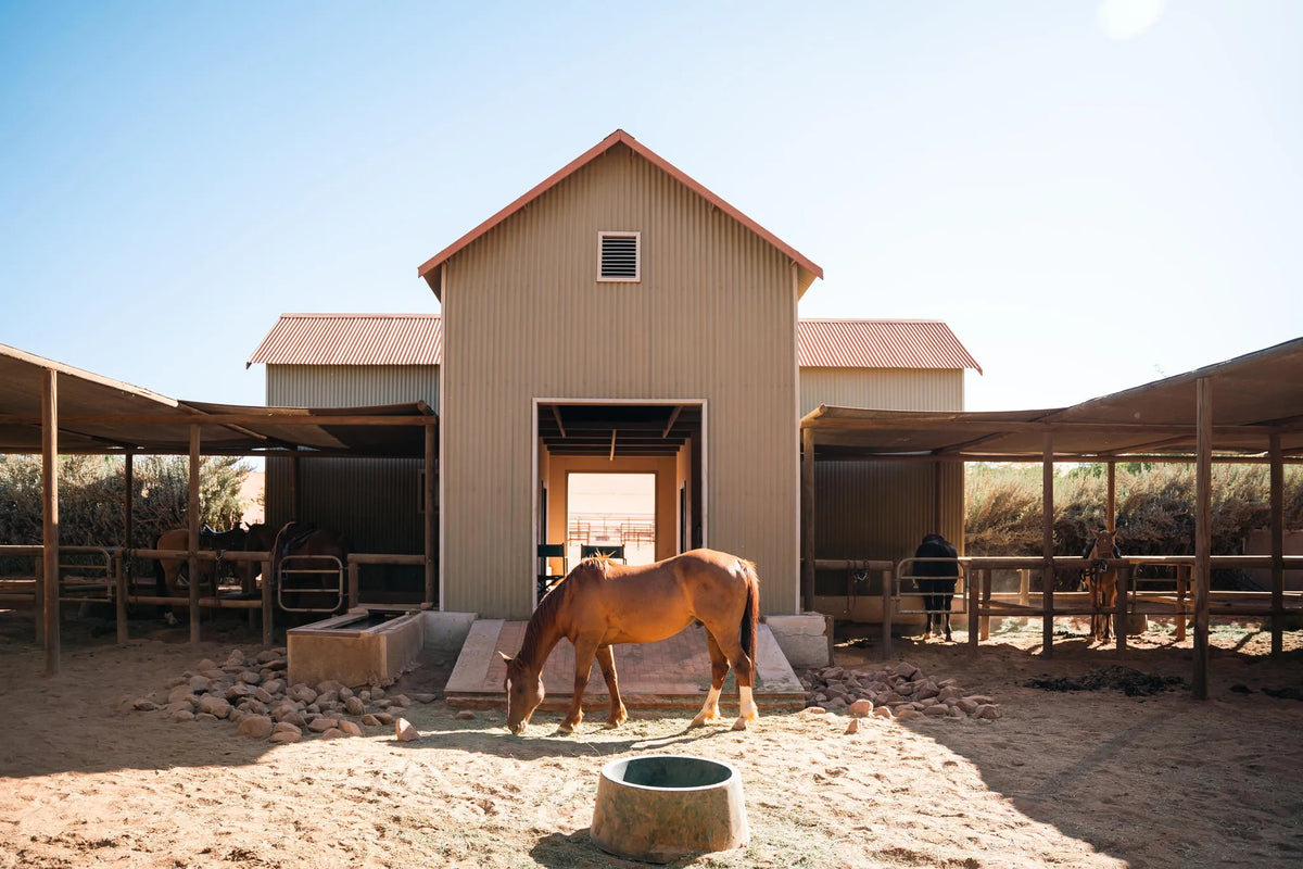 Heart & Home Village Tour at Wolwedans Desert Lodge, NamibRand Nature Reserve, Namibia.