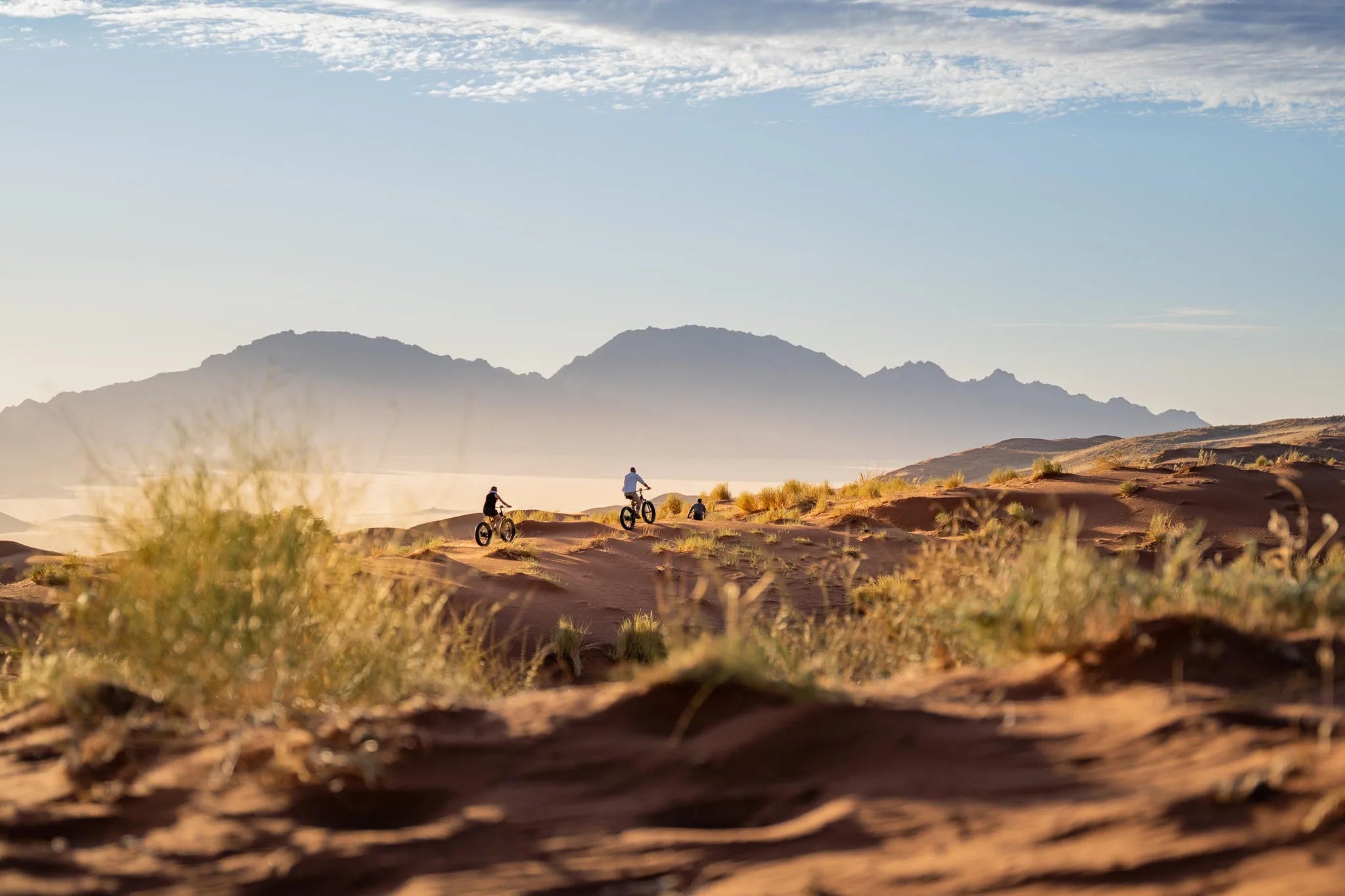 Gallery image 8.