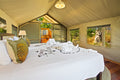 Forest Tent