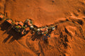 Desert Lodge from Above