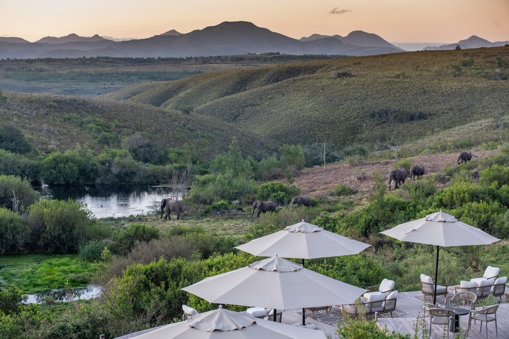 Kwena Main lodge View / Watering hole