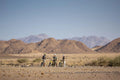 Gallery image 2.
