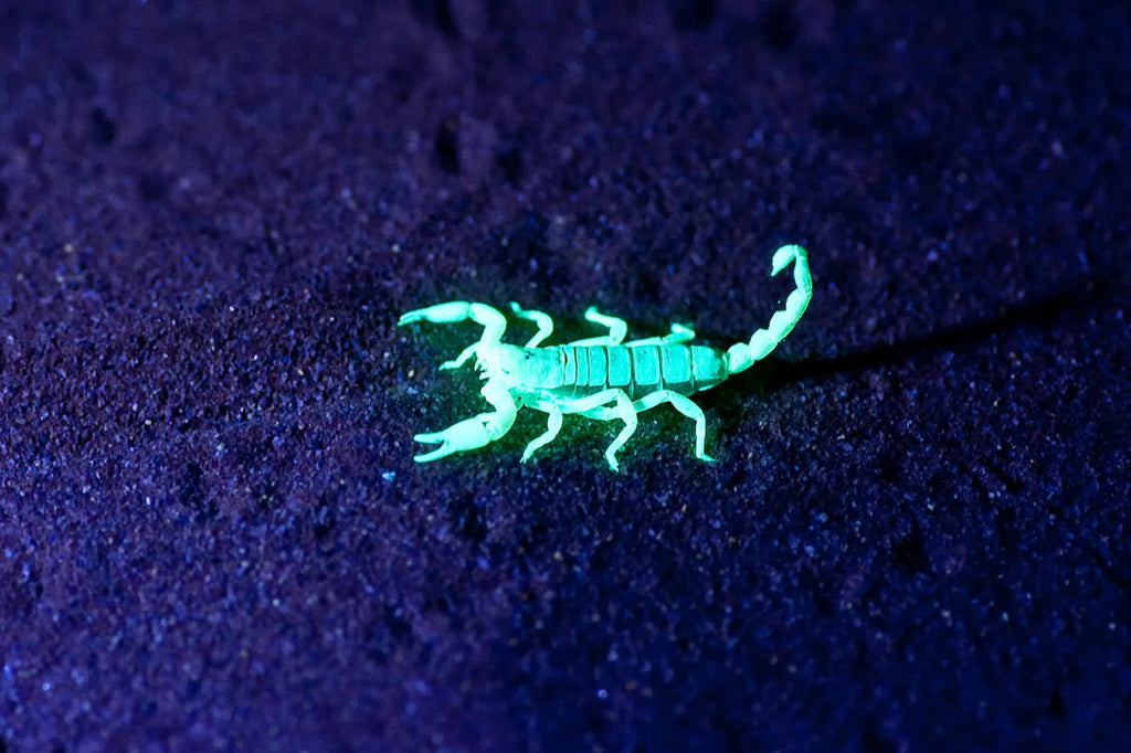 Featured image.