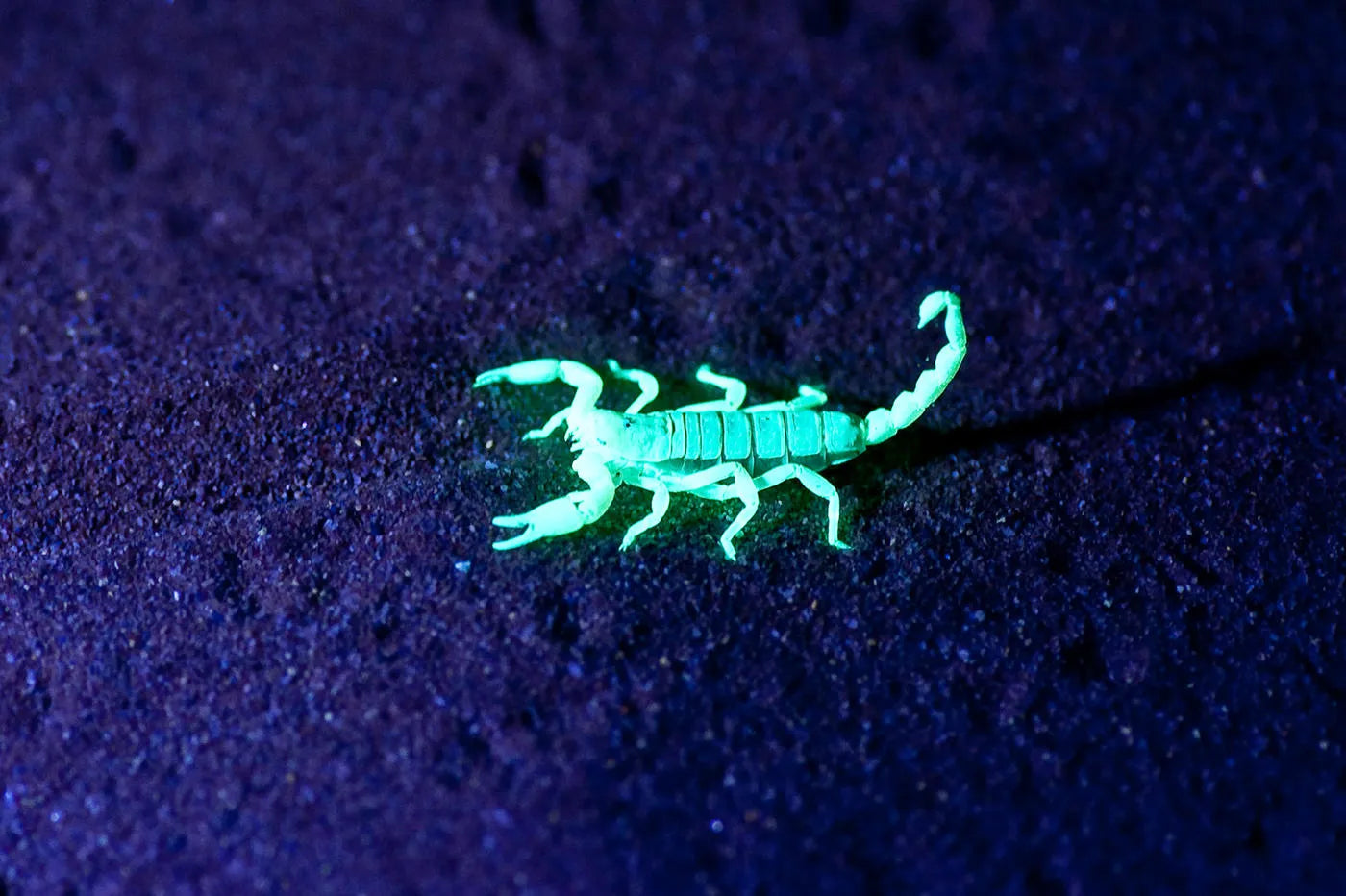 Featured image.