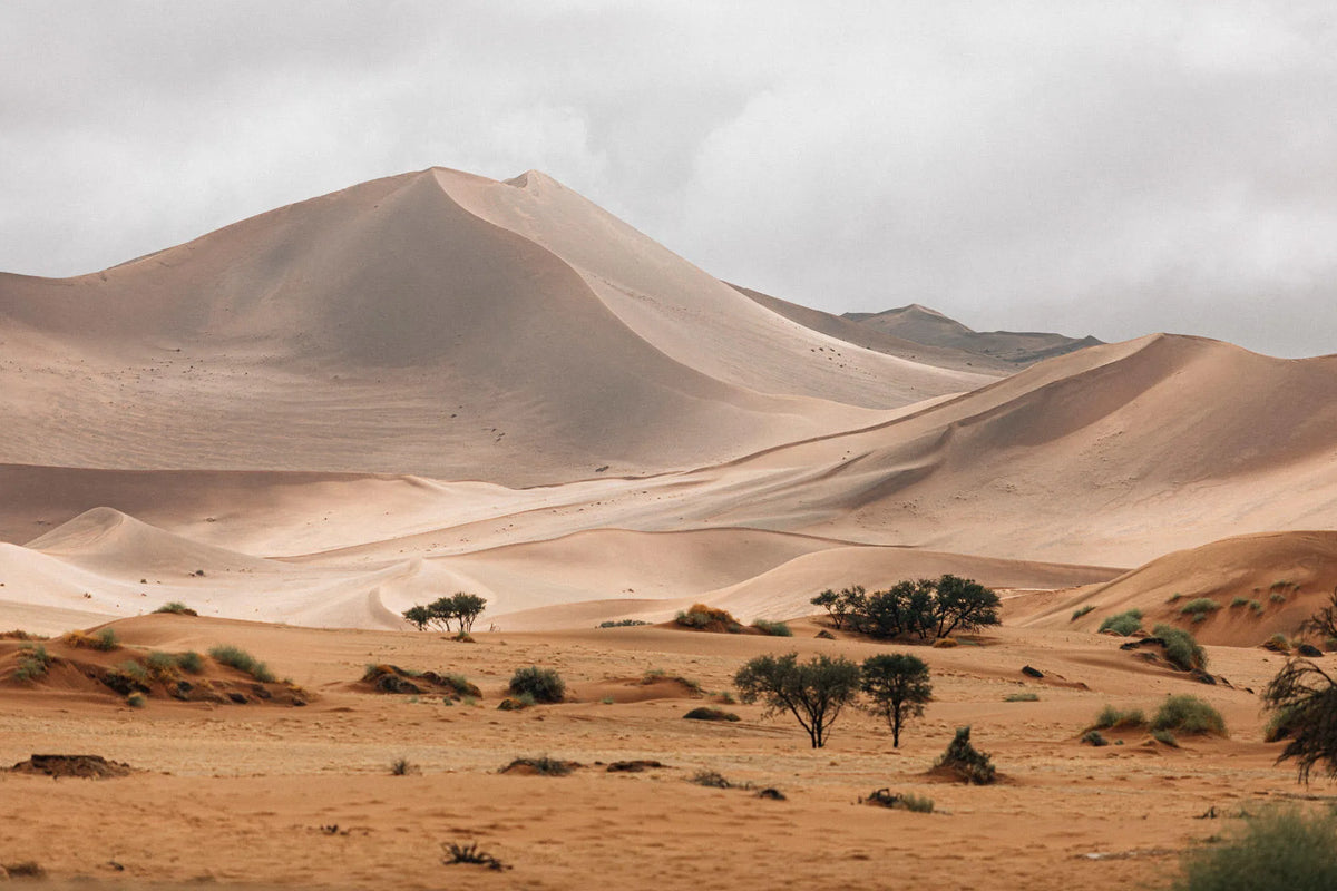 Wilderness Kulala Desert Lodge – Nature Drives