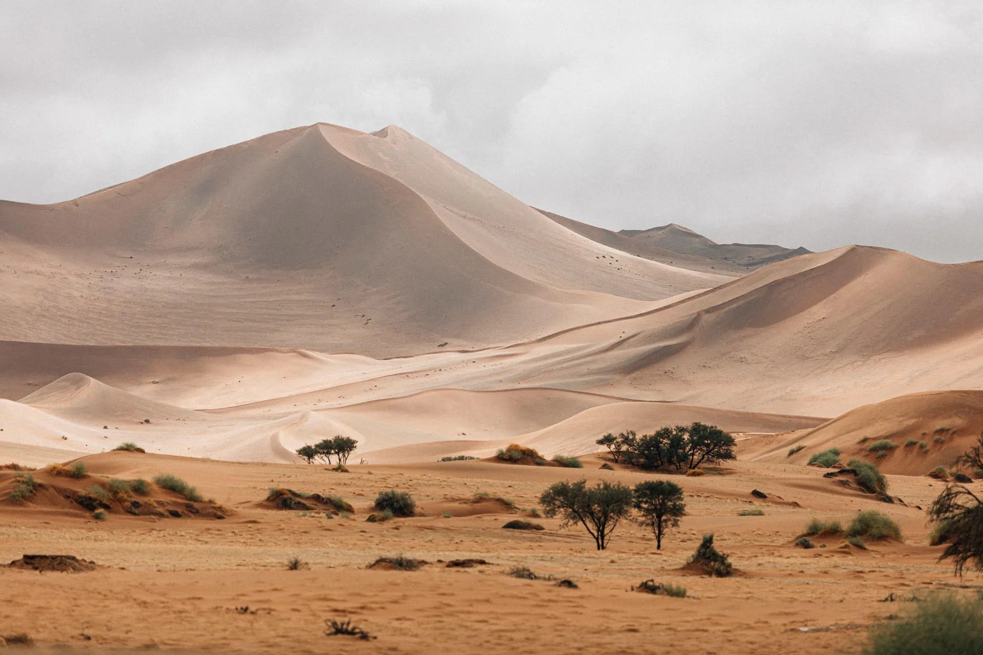 Activities at Wilderness Kulala Desert Lodge
