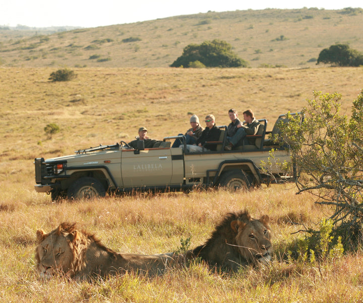 Lentaba Lodge - Lalibela Game Reserve