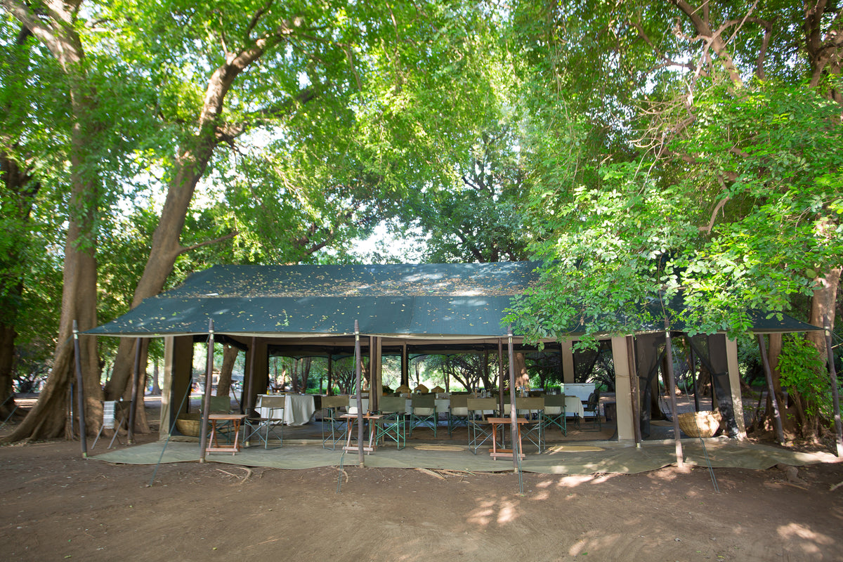 Lale’s Camp