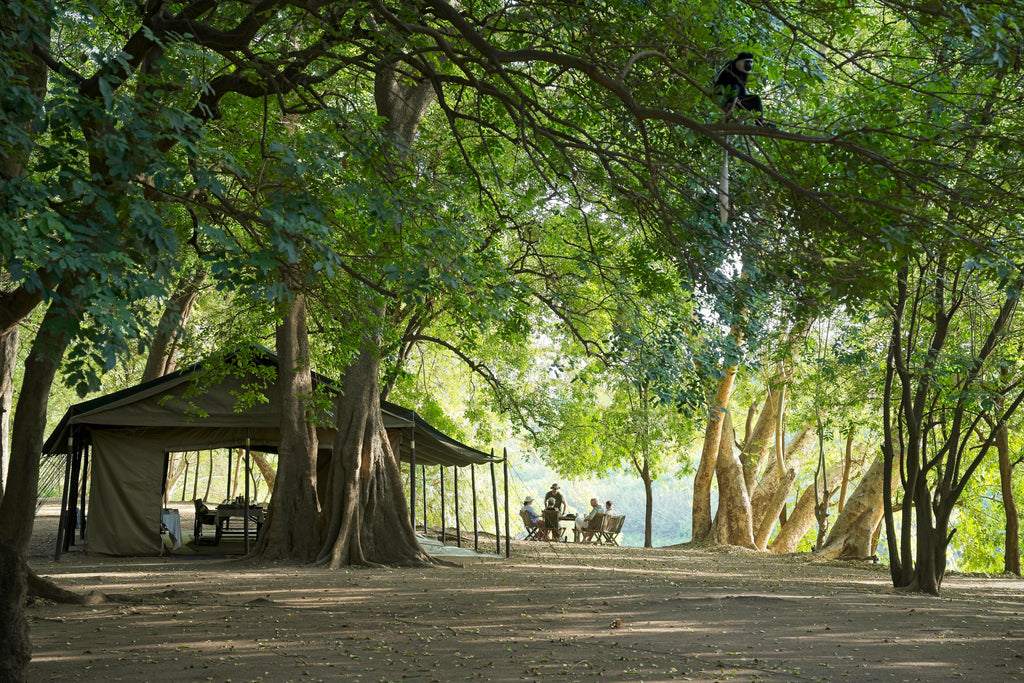 Lale's Camp - main area