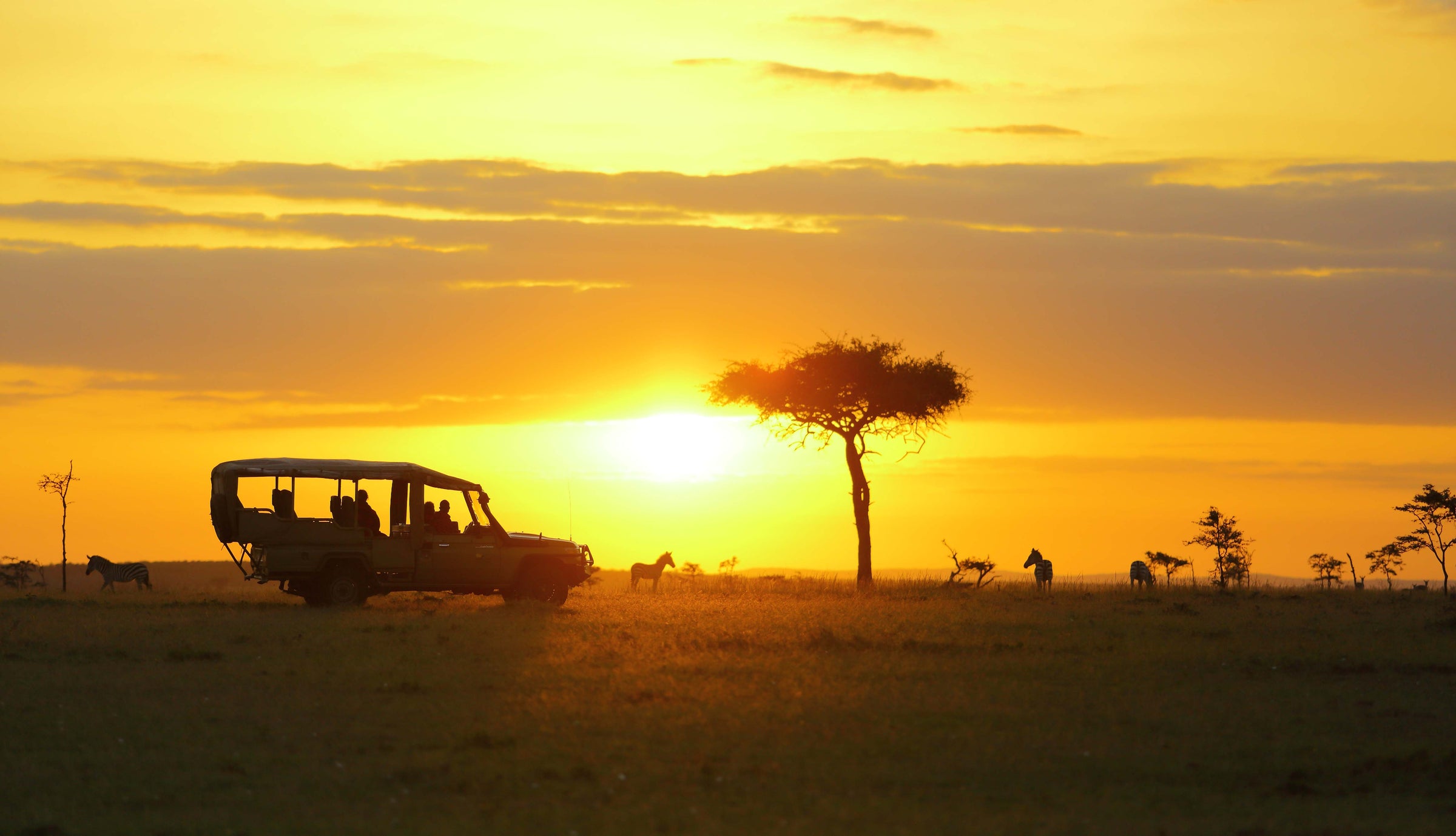 Saruni Mara — Day and Night Game Drives