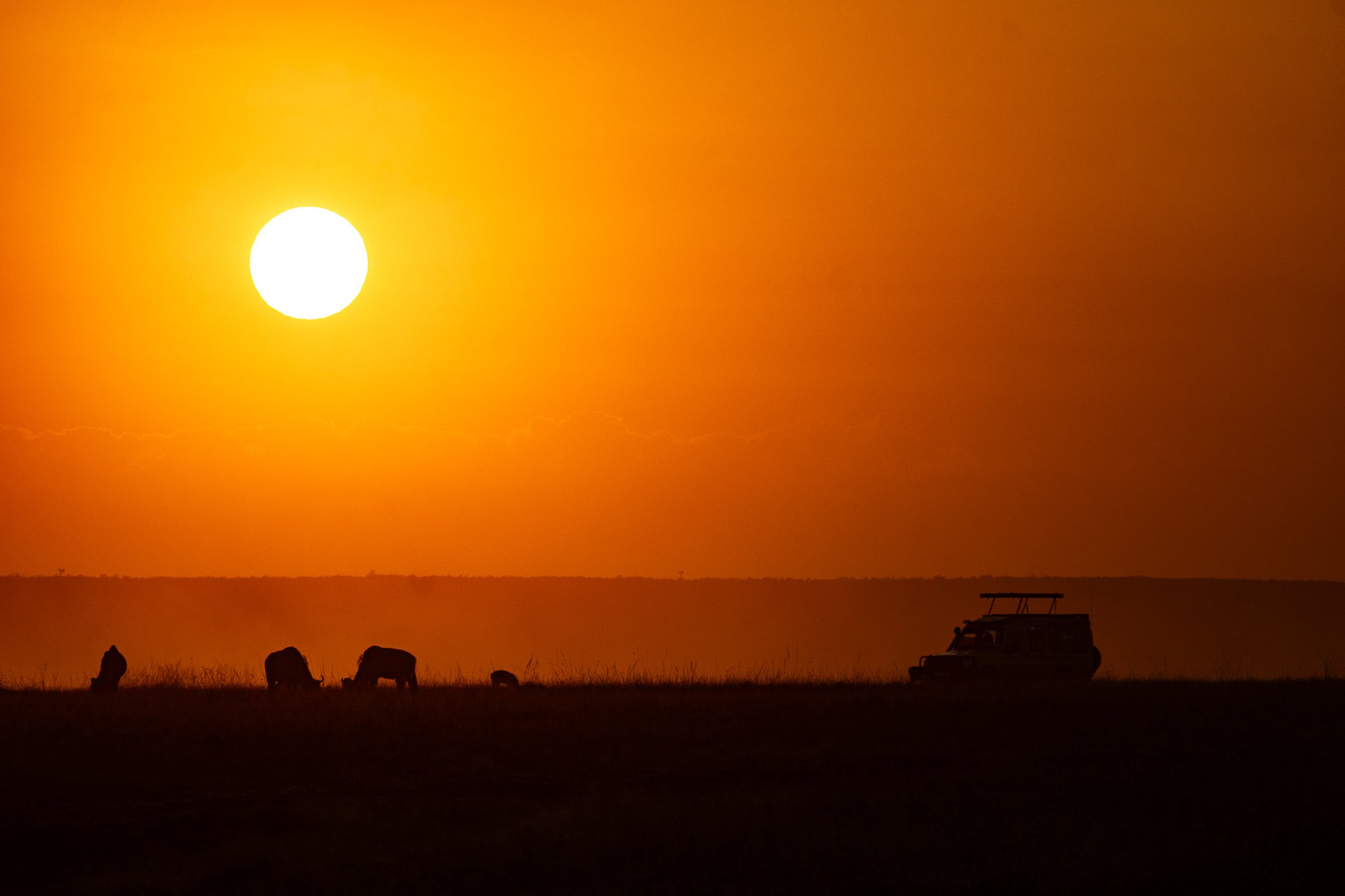 Star-Gazing and the incredible sky of the Mara