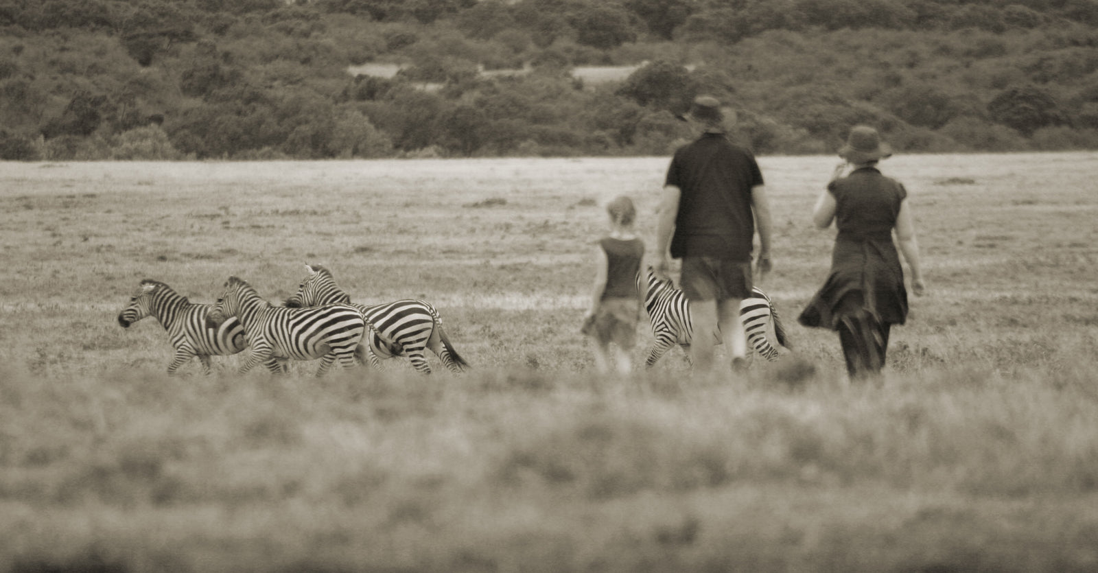 Saruni Mara — Bush Walks