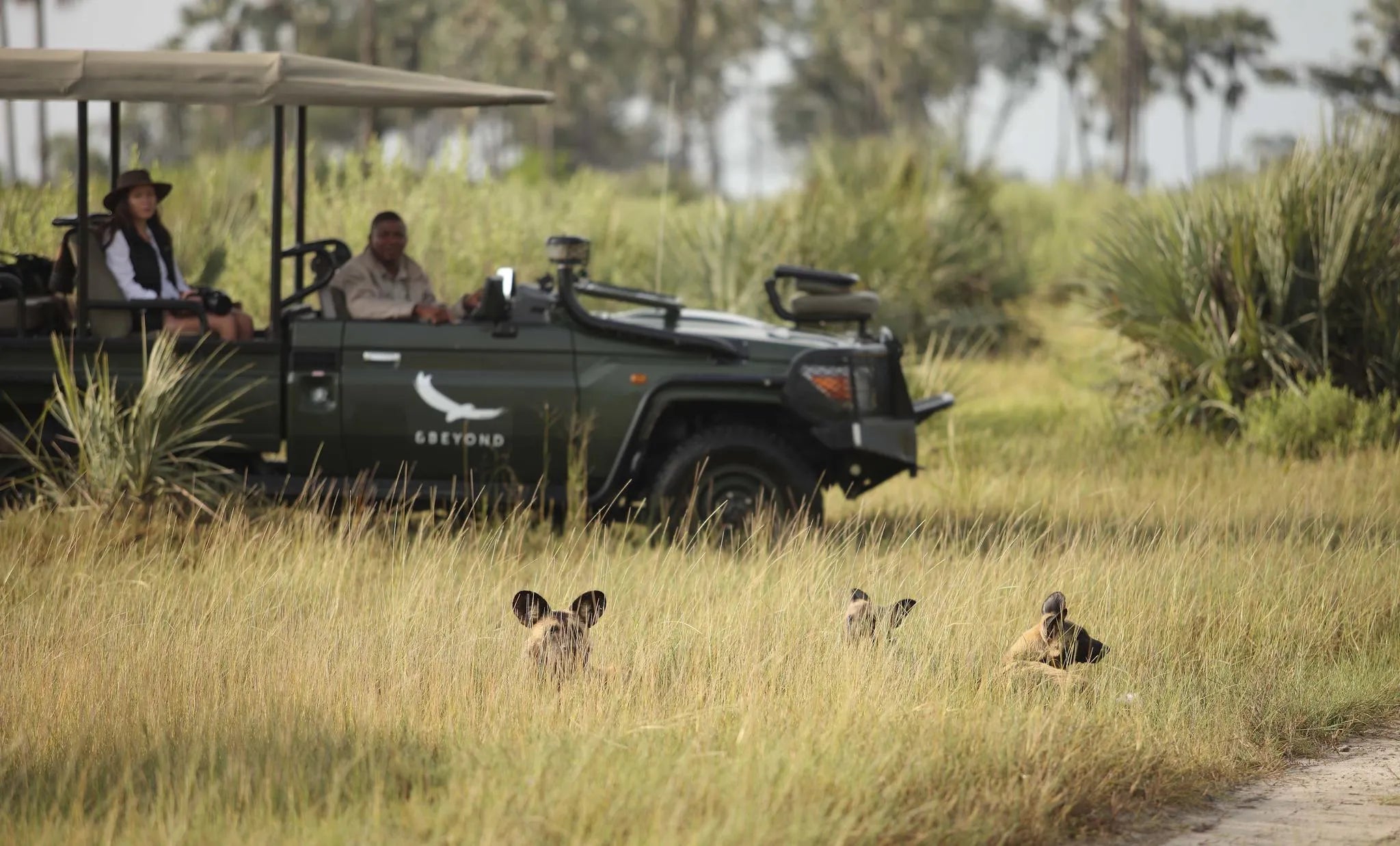 Game drives (Included)