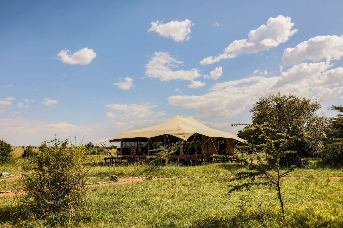 Porini Lion Camp