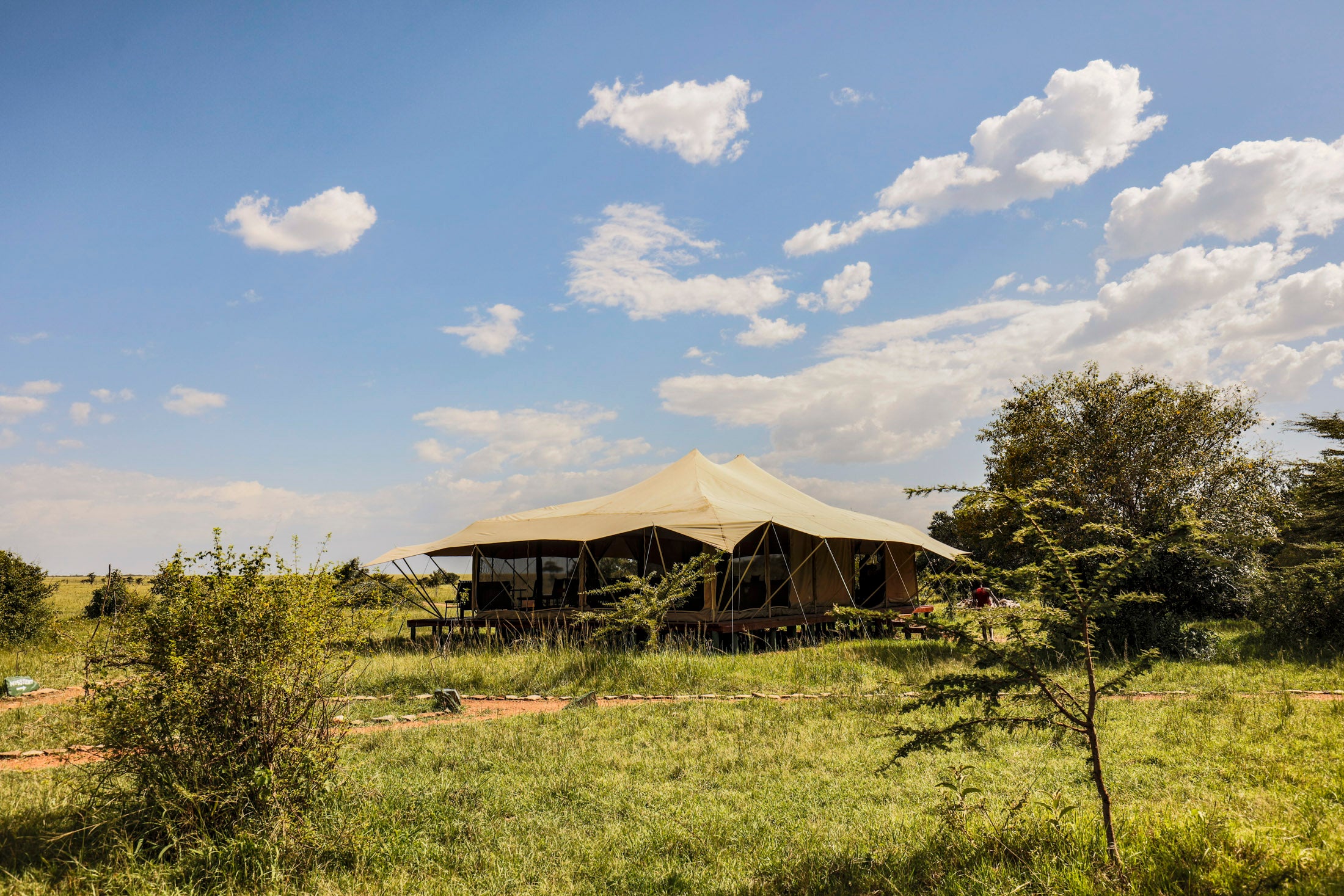 Porini Lion Camp