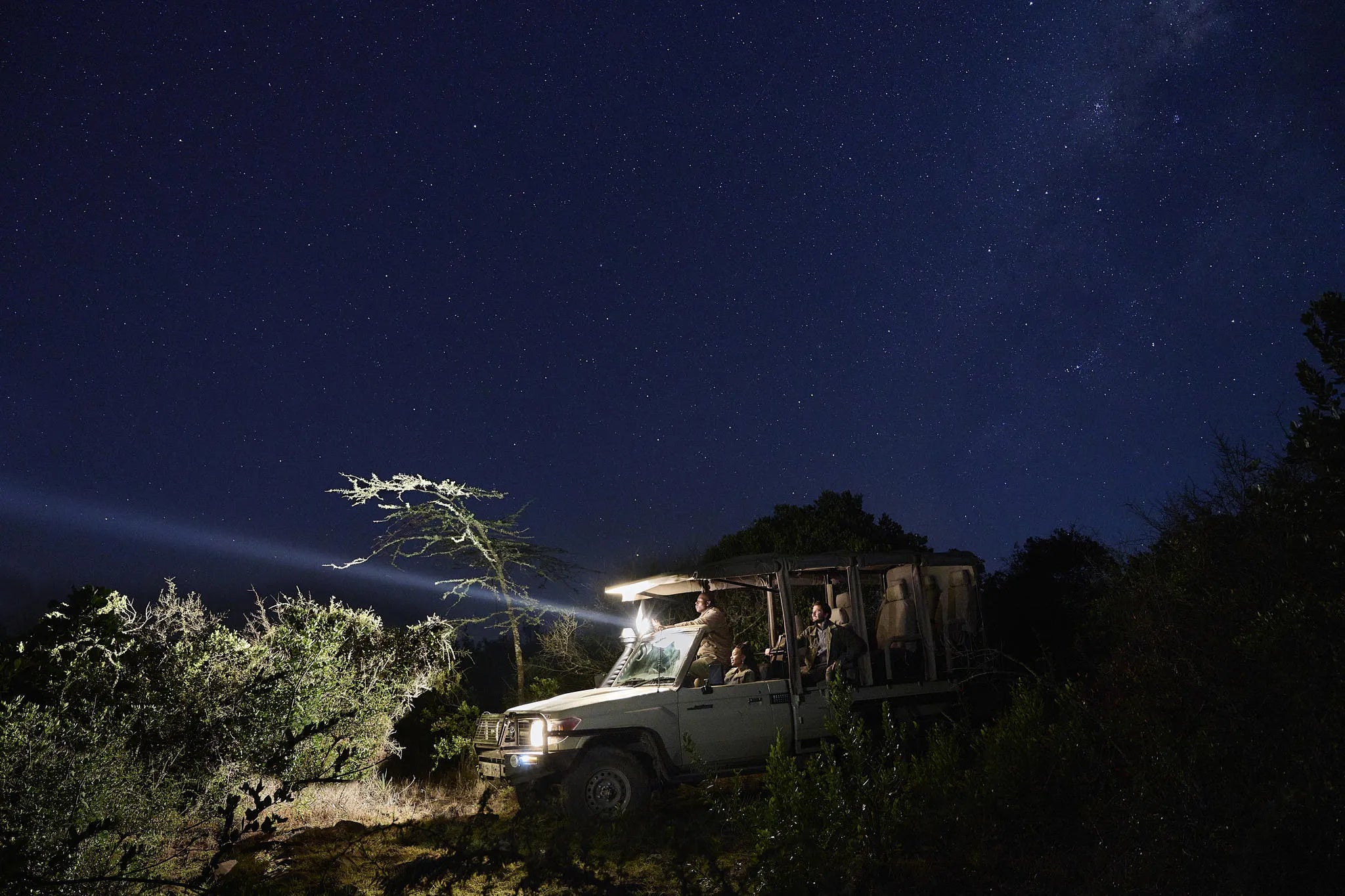Night Game Drive