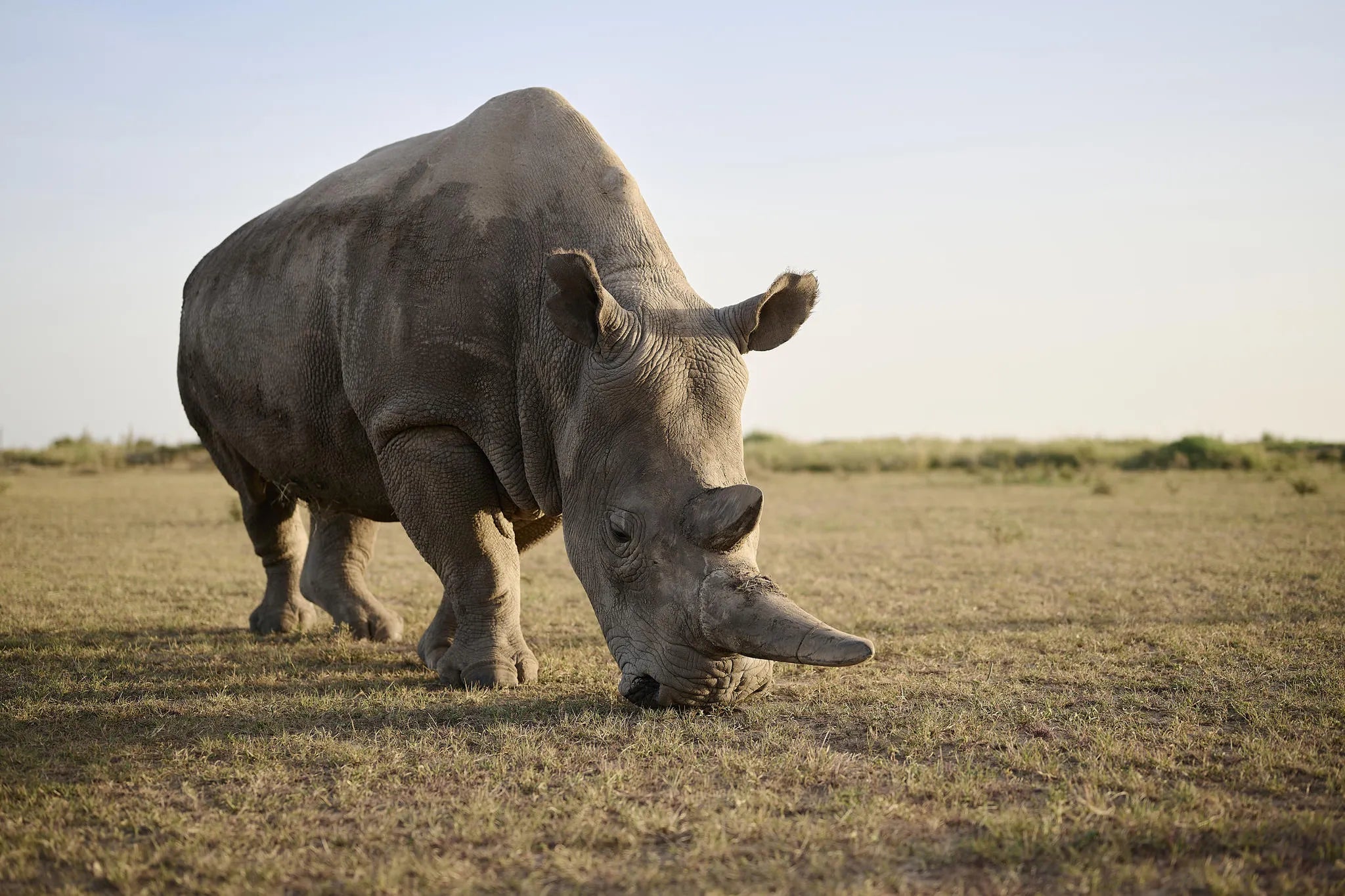 Rhino Sanctuary Visit
