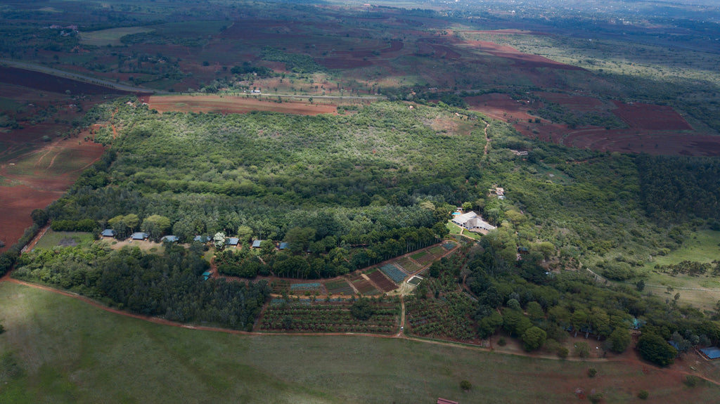 Ngorongoro Farm House - from heghts