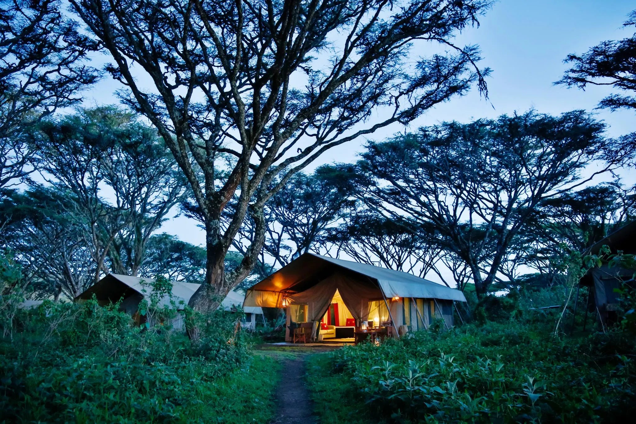 Lemala Ngorongoro Tented Camp at Lemala Ngorongoro Tented Camp, Ngorongoro Crater, Tanzania.