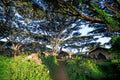 Lemala Ngorongoro Tented Camp
