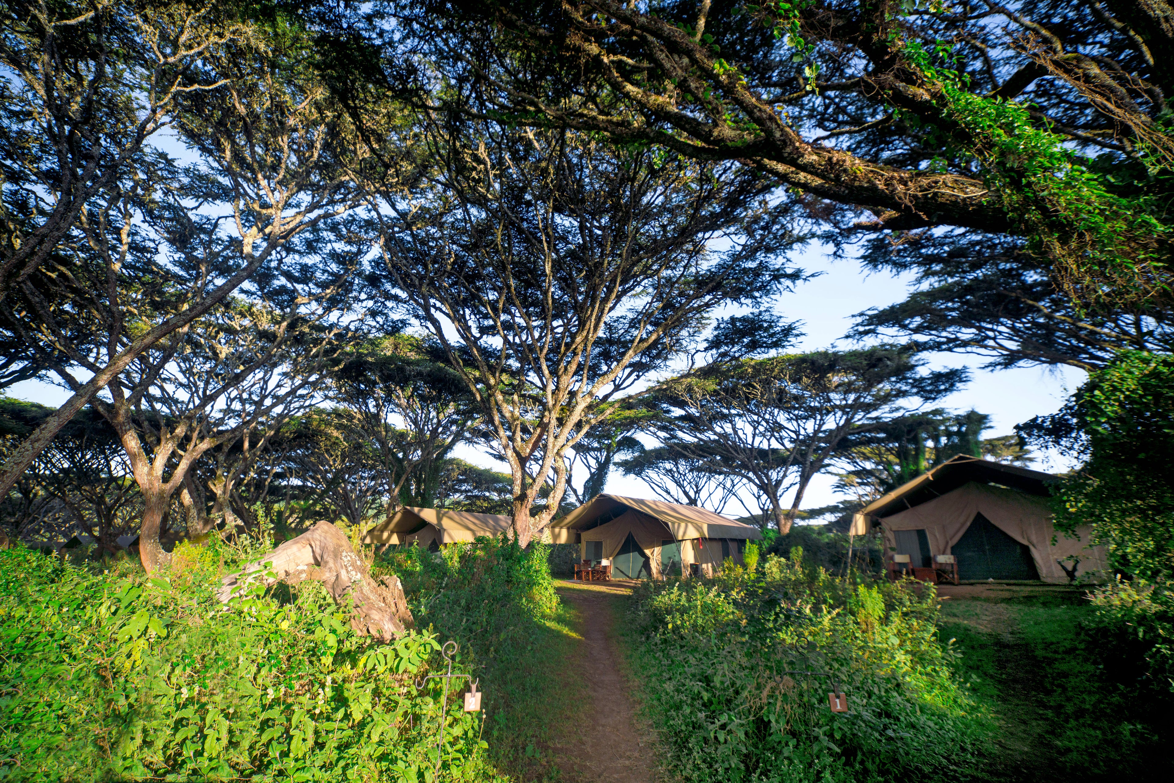 Lemala Ngorongoro Tented Camp