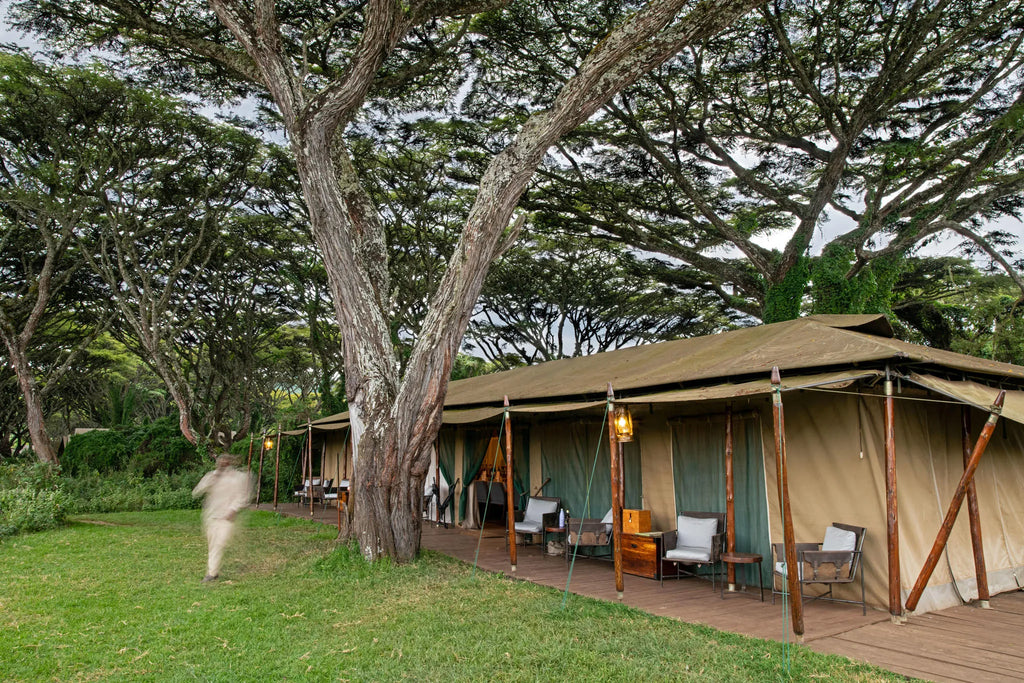 Lemala Ngorongoro Tented Camp at Lemala Ngorongoro Tented Camp, Ngorongoro Crater, Tanzania.