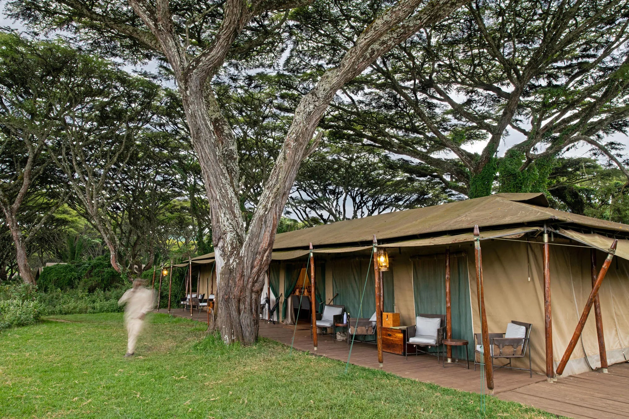 Lemala Ngorongoro Tented Camp at Lemala Ngorongoro Tented Camp, Ngorongoro Crater, Tanzania.