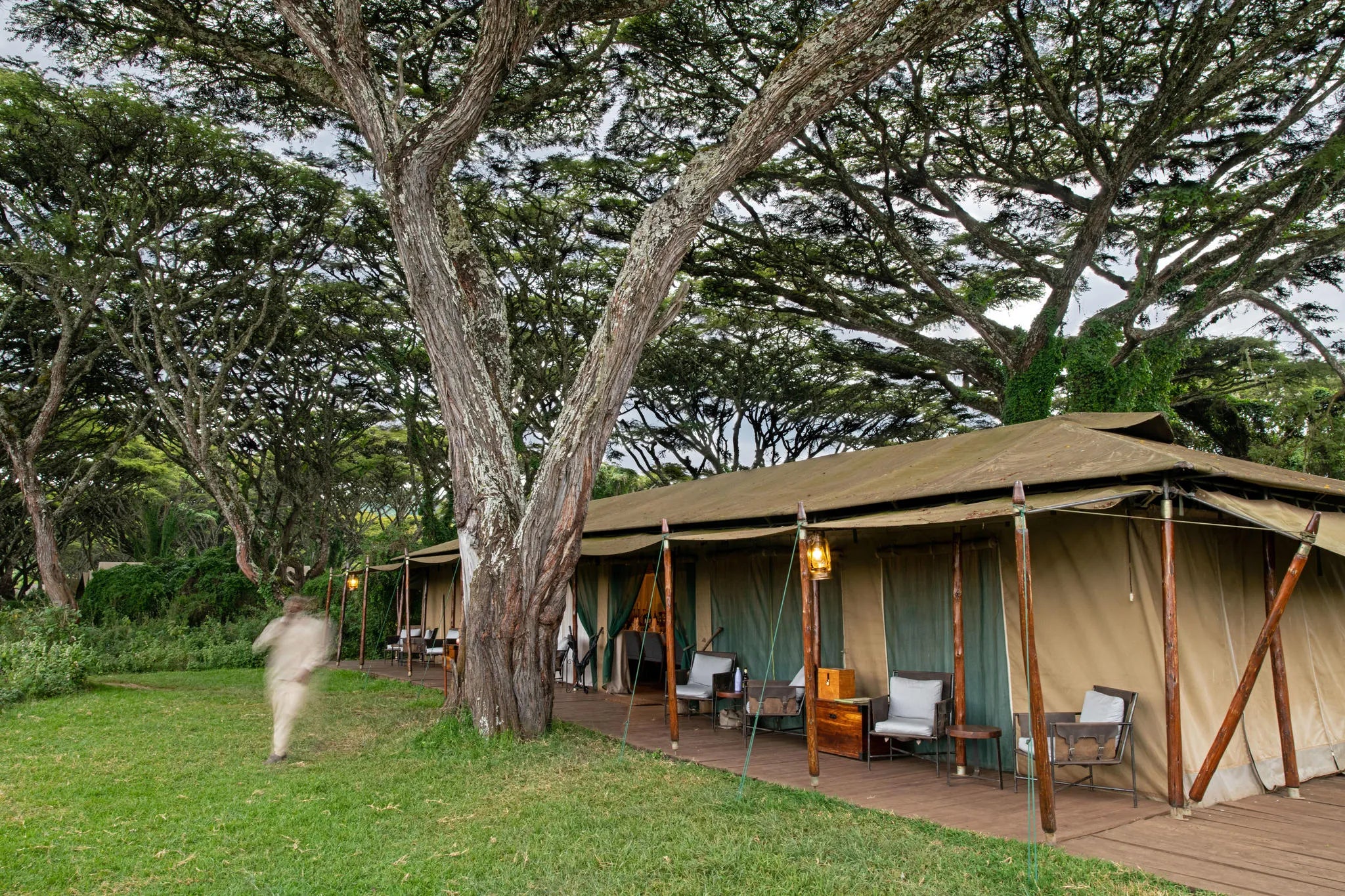 Lemala Ngorongoro Tented Camp at Lemala Ngorongoro Tented Camp, Ngorongoro Crater, Tanzania.