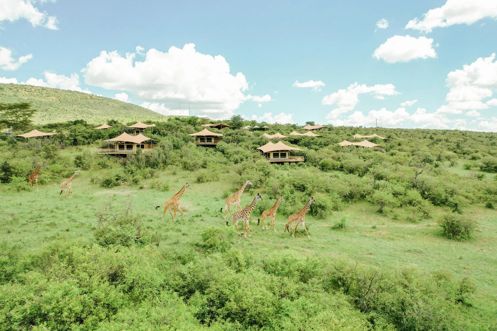 our private paradise at Mara Bushtops Camp, Masai Mara, Kenya.