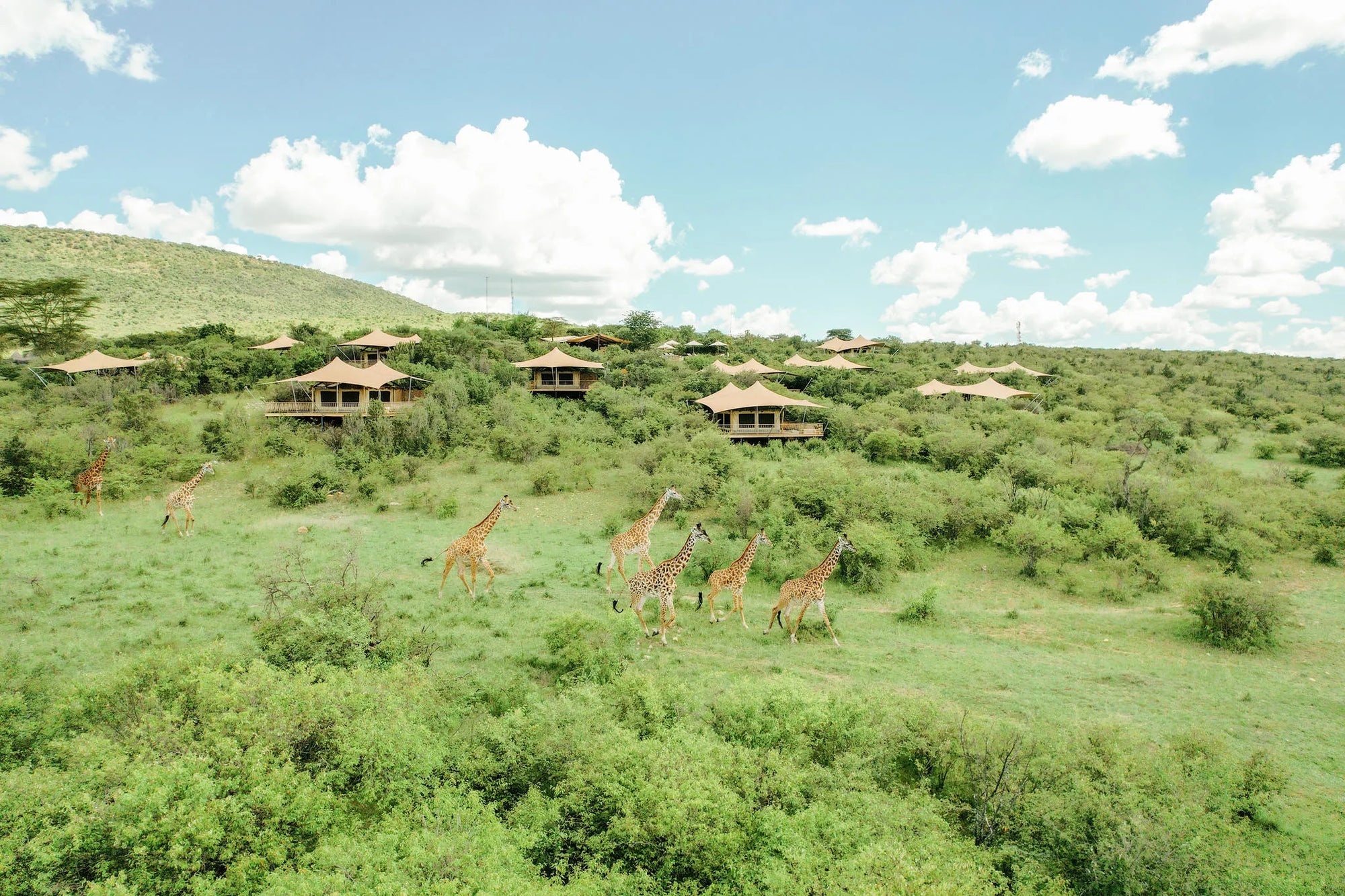 our private paradise at Mara Bushtops Camp, Masai Mara, Kenya.