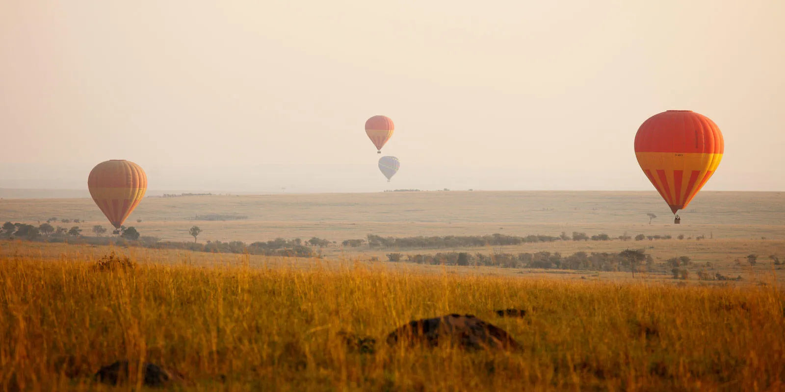 Hot Air Balloon Safari