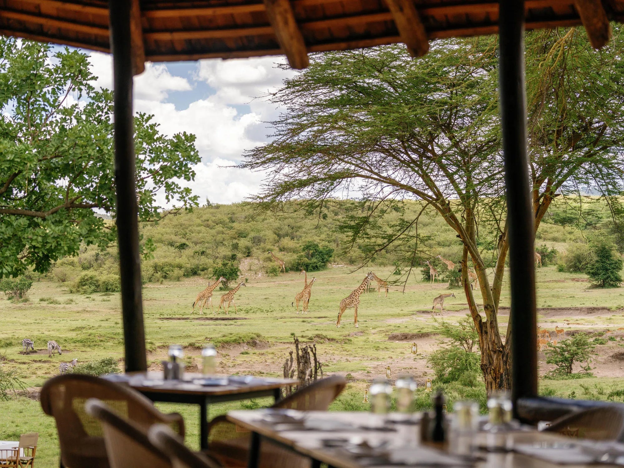 salt lick dining at Mara Bushtops at Mara Bushtops Camp, Masai Mara, Kenya.